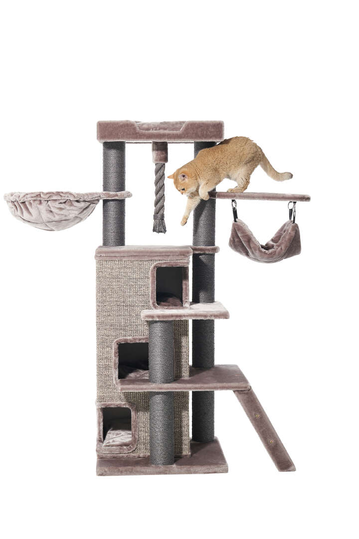 Nobby Kratzbaum Raya